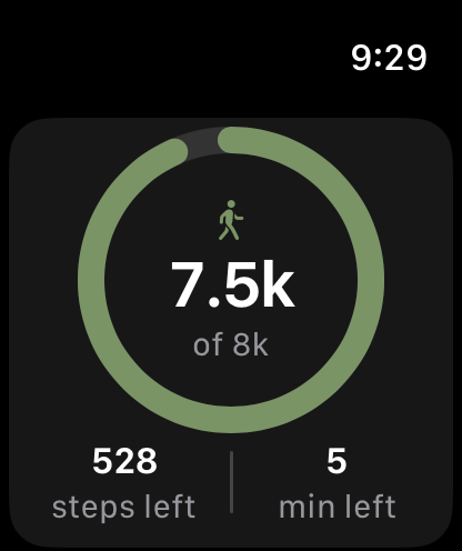 Step2It Apple Watch progress screen